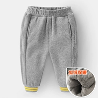 Конопля серого бархата