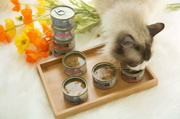 Dần dần Mèo đóng hộp Mèo đóng hộp Thức ăn ướt Mèo Ăn vặt Kem dưỡng ẩm Thịt bò đóng hộp Tôm Cá ngừ Súp thịt đóng hộp - Đồ ăn nhẹ cho mèo