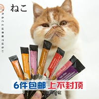 Германия в Майамия, легкая питание Catal Cat Strip