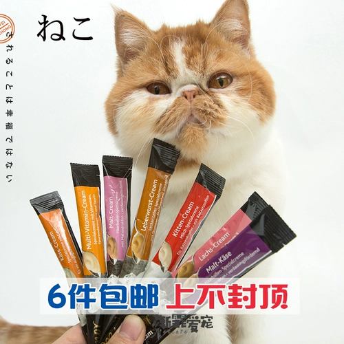 Германия в Майамия, легкая питание Catal Cat Strip