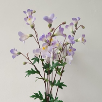 Simulation Flower Lingxiao Small Wildflower Family Residence Decoration Wild Anecdove Materials Home Decoration Photography Props Flower Bouquet