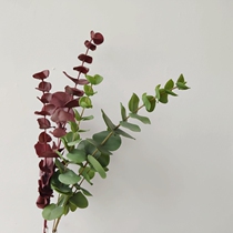 High-end emulated leaf material apples brown autumn colors by Eugalieucalyptus