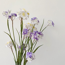 Simulation flower without worries and light purple small flower shooting hand in hand with matching flower foreign trade boutique floral material spot