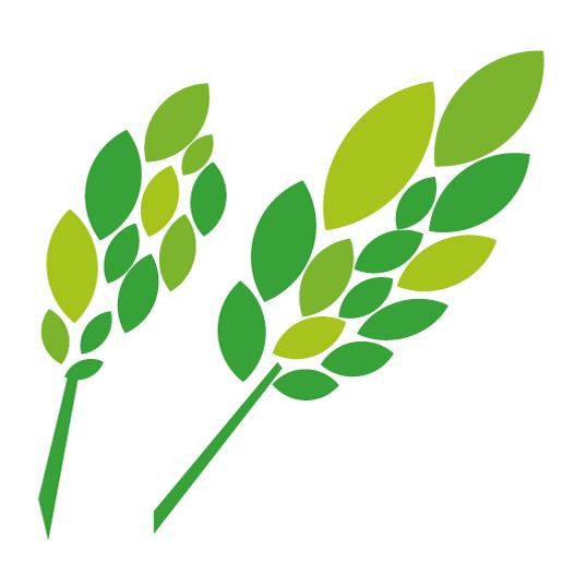 稻草礼物