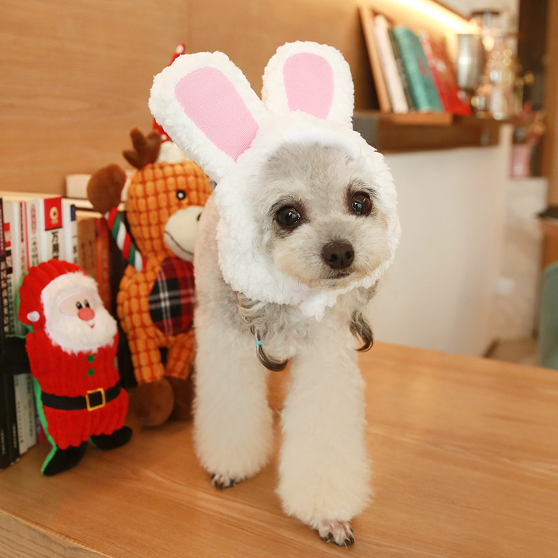 Dried Orange Peel Home Pet Rabbit Hat Rabbit Ears Hat Dog Muggy Dress Kitty to blame kitty headgear to sell cute headgear