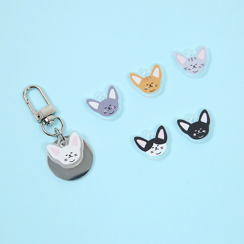 Ins Cat Brand Custom Cat Pllate Tar