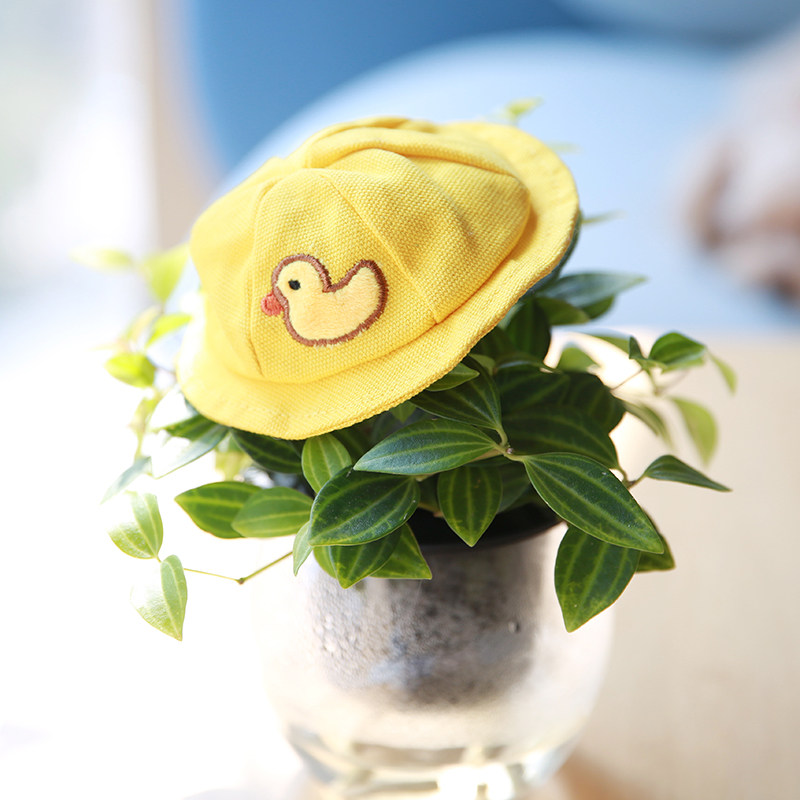 Pet Kindergarten Kindergarten Dog Little Yellow Hat Cat Hat Clothes Funny Teddy Fa Fighting Corgi Chai Dog