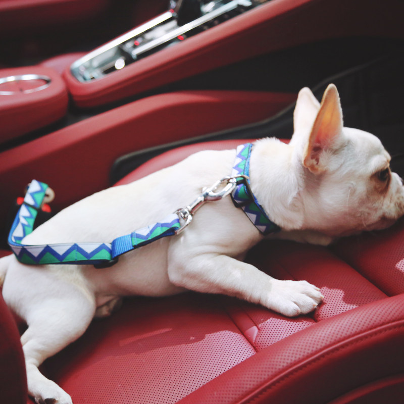 Tidal Pet Car Seat Belt Large Dog Small Dog Dog On-board Car Safety Buckle Chest Back Traction Rope