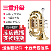 American JAZZOR Sir Lang hand number portable small B- flat pocket cornet brass instrument New Product