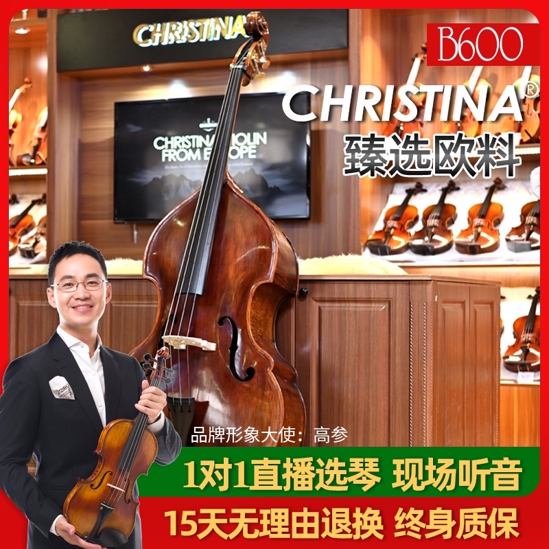 B600 solid wood European material handmade adult professional performance grade double bass double cello double bass