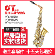 Xinghai Golden Sound JYAS-E100D Saxophone Em Curved Saxophone