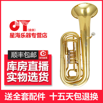 Xinghai golden sound JYTU-E110G 4k flat key painted gold band band