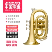 Cây cọ Jinbao số JBMT-500 kèn cầm tay B túi phẳng số ngắn bằng đồng thau sản phẩm mới - Nhạc cụ phương Tây