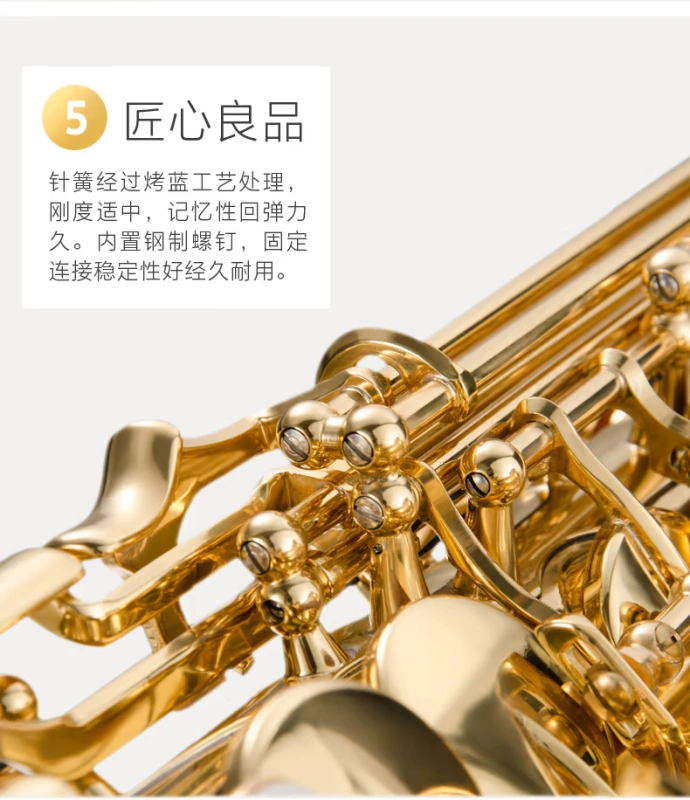 Nhạc cụ Xinghai Jinbao chính thức ủy quyền cho JBAS-260 saxophone tenor saxophone E-phẳng saxophone - Nhạc cụ phương Tây ocgan