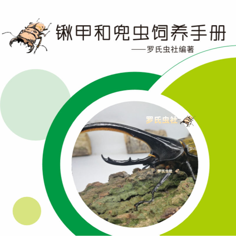 Roche Worm Beetle Beetle Beetle rearing manual beetle Shovel Shaped Insect Unicorn Breeding Method Starter Pet Insect