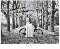 Audrey Hepburn Audrey Hepburn signed photo