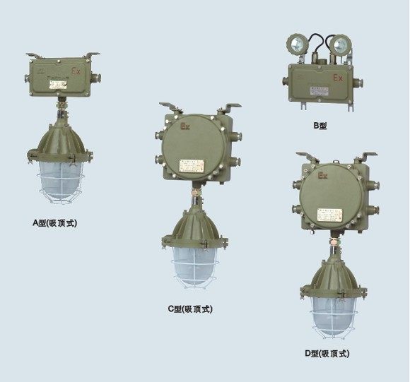 Shanghai Huarong Technology Explosion-proof lamp Explosion-proof double-head emergency lighting lamp BAJ52 The actual product price shall prevail