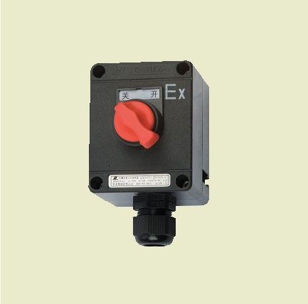 Shanghai Huarong explosion-proof electrical appliances explosion-proof anti-corrosion lighting switch BZM8050-10 BZM8060-10