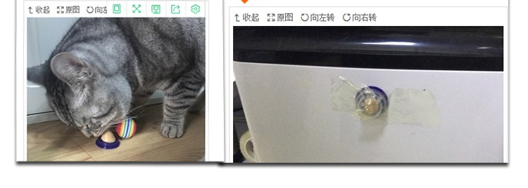 Cat sugar Pet cat 促进 Thúc đẩy nước uống cho mèo Cat sacarifying lông Kem dinh dưỡng rắn viên thuốc mạnh mèo ăn nhẹ catsrang 5kg