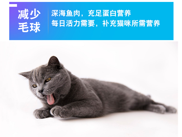 Quark Ocean Fish Thức ăn cho mèo Quark Cat Food 10kg Pet Cat Food Cat Cat Thức ăn cho mèo trưởng thành Thức ăn cho cá Ocean - Cat Staples thức ăn cho mèo con 1 tháng tuổi