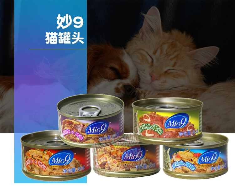 Mio tuyệt vời 9 mèo đóng hộp 10 đồ ăn nhẹ mèo đóng hộp vào mèo mèo tuổi mèo mèo đóng hộp thực phẩm