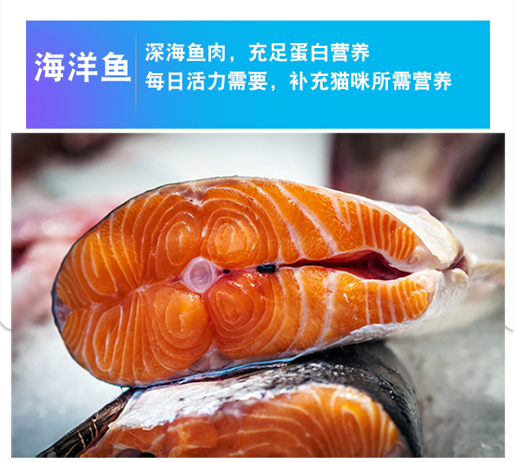 Quark Ocean Fish Thức ăn cho mèo Quark Cat Food 10kg Pet Cat Food Cat Cat Thức ăn cho mèo trưởng thành Thức ăn cho cá Ocean - Cat Staples thức ăn cho mèo con 1 tháng tuổi