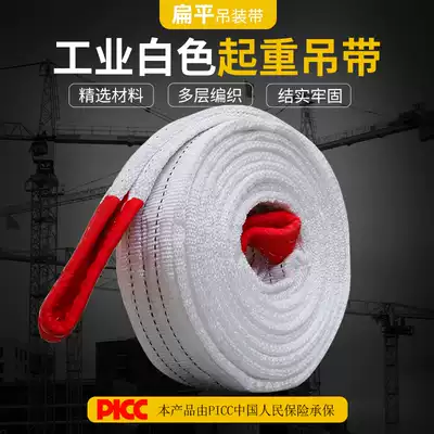White nylon hoisting belt 1 2 3 5 6 8 10 ton meter driving crane double buckle flat lifting belt