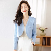 Small Fragrant Coat for Women 2024 New Spring and Autumn Temperament Celebrity High Sense Fashion This Year Popular Small Suit Short Top