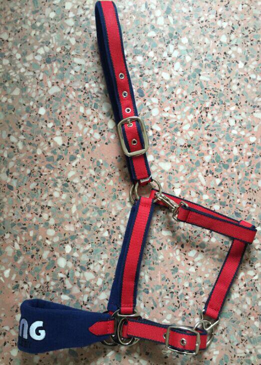 Horse bridle SA185 wear-resistant horse lead faucet TENG brand equestrian equipment