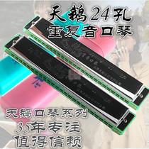 Swan 24-hole accent Polyphonic C tune harmonica green beginner harmonica Swan 24-hole accent Polyphonic C- tune harmonica