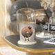 Light luxury double-layer desktop trash can high-value creative astronaut cartoon mini table trash storage tube