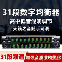 공장 직접 영업 전문가 31 단계 디지털 이퀄라이저 전문 소음 감소 게이트 게이트 스테이지 성능 오디오 처리 스펙트럼