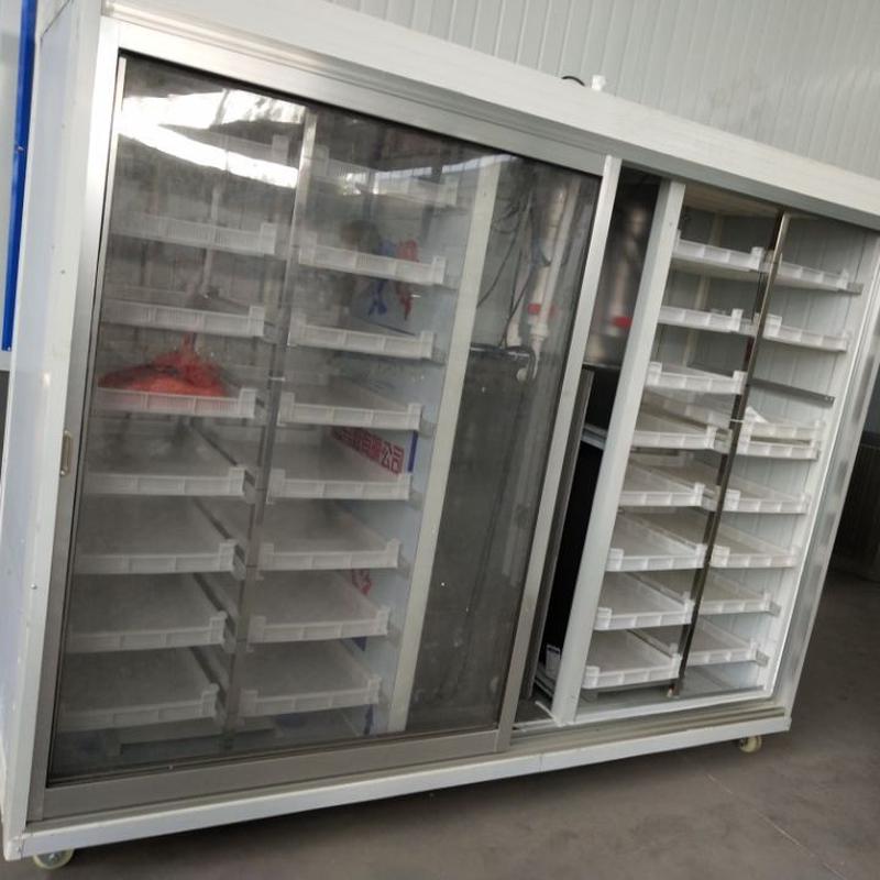 Hot selling Guangxi fully automatic bean sprout machine manufacturer large bean sprout box type soybean sprout machine mung bean sprout machine manufacturer