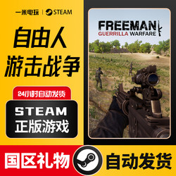 Steam Official Version: Freedom Fighters - Guerrilla Warfare Action Shooting First-Person Role-Playing Pc Chinese Version