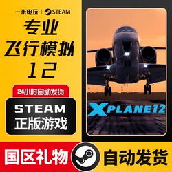 Steam Genuine Version of Professional Flight Simulation 12 X-Plane 12 Simulates Flight Teaching and the Terrain of Chinese Airports