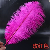 Роза красная