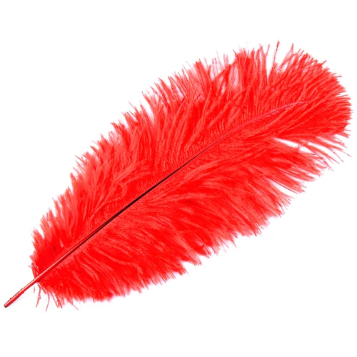 DIY Ювелирные украшения Острих Острие Мера аксессуары для перьев Свадебные цветочные условия сцены