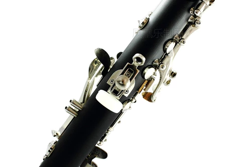 Нижний E -Tune Single Celebration Black Tube Butterfly Brand Small Falling E Black Tube