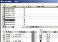 Access Forms Feature Development Kit