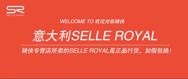 Selle de vélo - Ref 2359475 Image 6