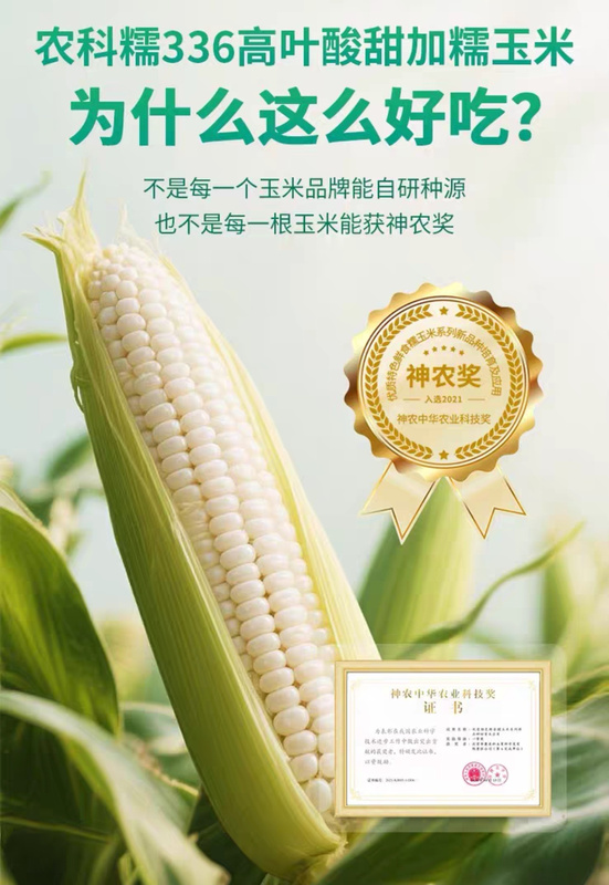 High-Folic Acid, Sweet and Glutinous Corn That You Can Eat over and over Again Without Getting Tired of It, Nongke Yu Nongke Glutinous 336