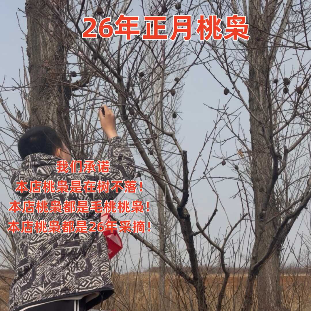 文玩核桃-新人首单立减十元-2026年6月|淘宝Taobao|天猫Tmall