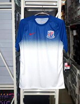 (Spot) 2021 New Shanghai Shenhua nike training suit