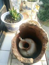 Song Dynasty Kiln site Qing white porcelain casket porcelain pot old porcelain ancient play antique porcelain stove Porcelain Porcelain Porcelain Bottle Porcelain Revered Porcelain Clay Pot Porcelain