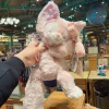 Товары от 星星乐园正品代购