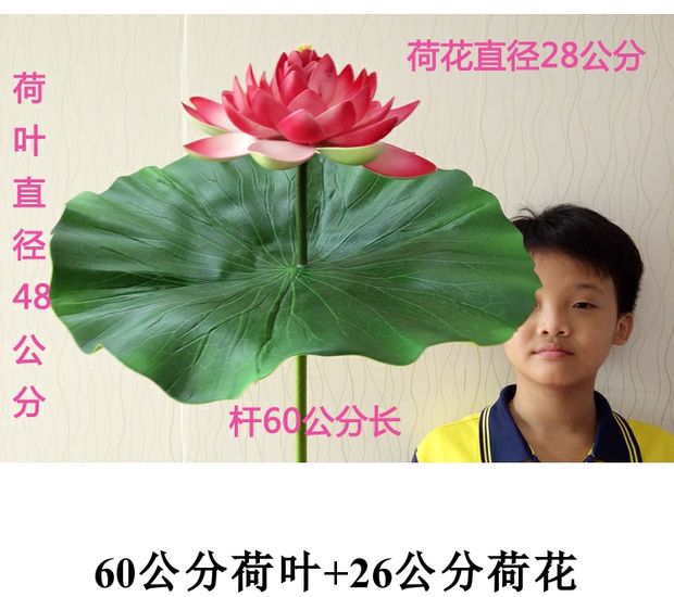 Mô phỏng với thanh sen lá sen giả sen nhựa lụa hoa múa đạo cụ biểu diễn hoa sen ô dù mô phỏng đạo cụ sen - Hoa nhân tạo / Cây / Trái cây lan giả