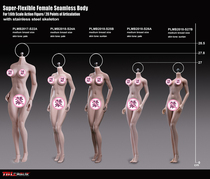 8-foot TBLeague thin body type without head steel bone female S24A S24A S25B S26A S27B S27B paragraph