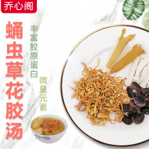  Cordyceps militaris flower glue soup material rich in collagen rich in trace elements Guangdong Liang soup soup material soup package