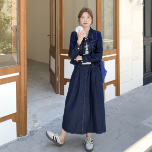 深蓝色牛仔套装女2025秋季新款休闲气质外套条纹背心半身裙三件套图片