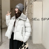 【档口现货】浅灰色毛线大翻领休闲棉服2C233-830-P235-K349，女装棉衣/棉服，2C233